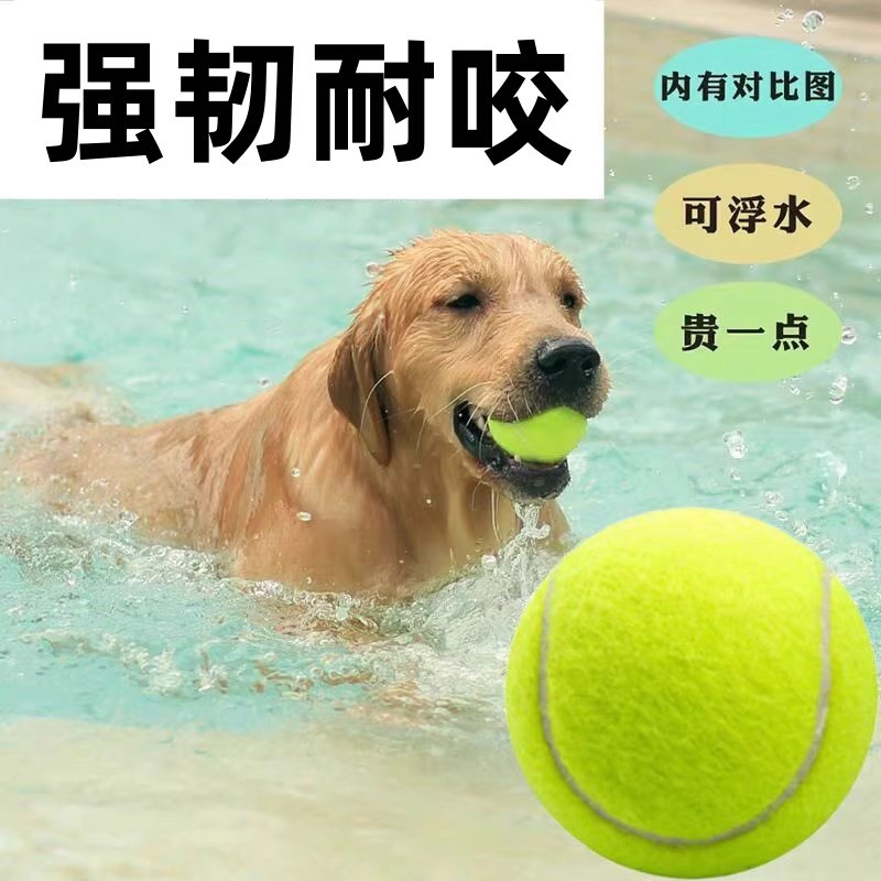 狗狗网球玩具强韧耐咬可浮水磨牙互动宠物橡胶球通用耐咬耐咬,宠物/宠物食品及用品,橡胶球/球形玩具,淘宝优惠券,粉丝福利购,淘宝优惠卷