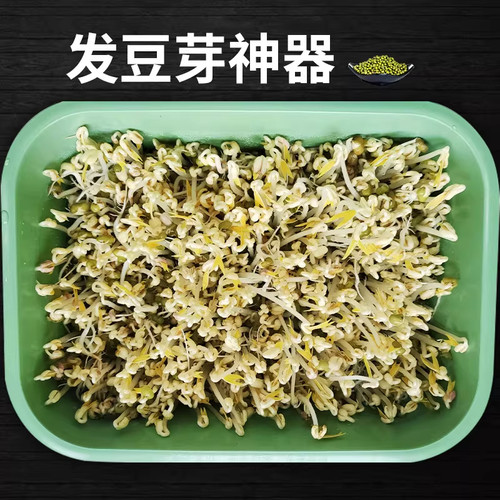 家用发豆芽多孔大容量塑料育苗盘