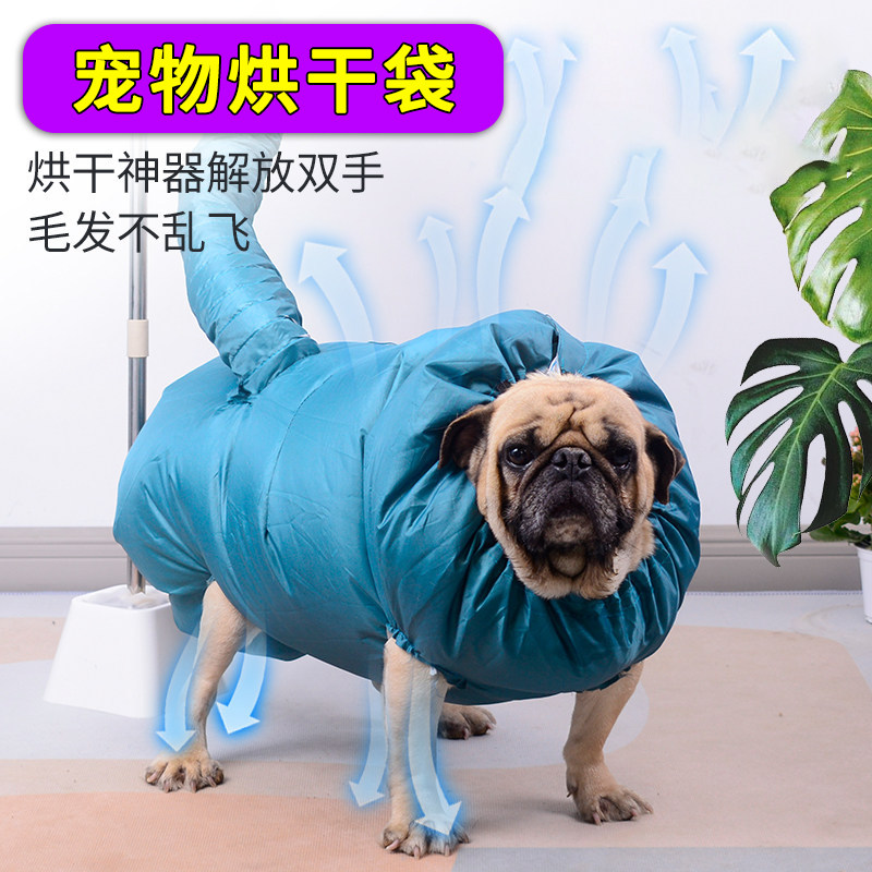 宠物烘干袋狗狗金毛洗澡中大型犬家用全自动吹毛烘干箱神器吹风机