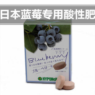 蓝莓肥料专用肥日本花宝进口酸性肥料家庭园艺土壤PH值调节剂