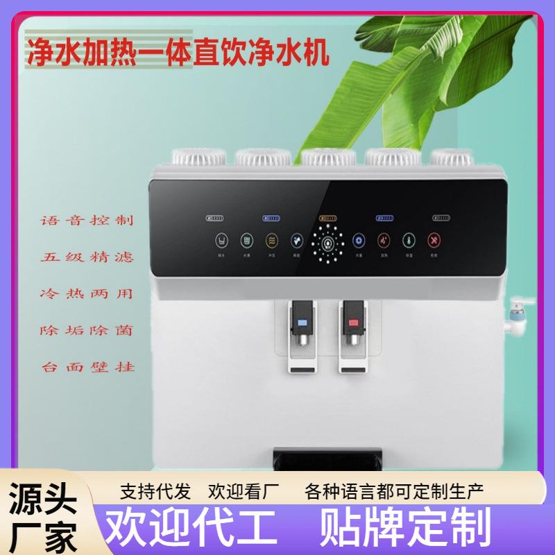 净水器家用厂家加热一体机语音直饮RO纯水机反渗透过滤净水机