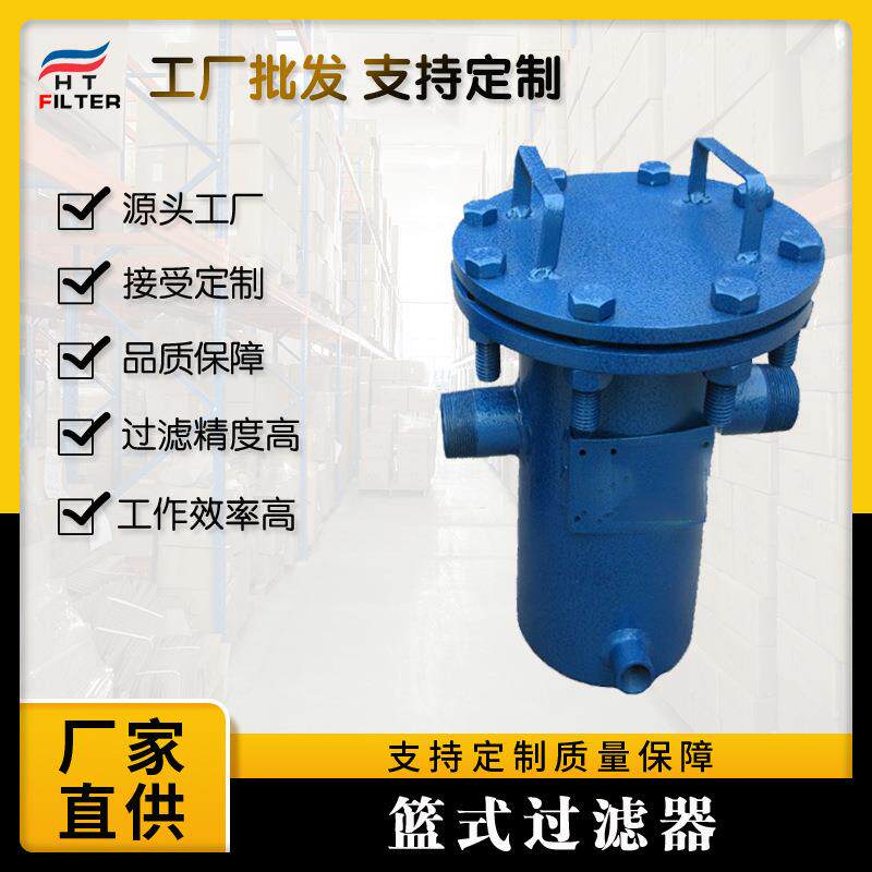 滤器 篮式过滤器HTT700X100 污水处理设备 碳钢材质 管道过滤
