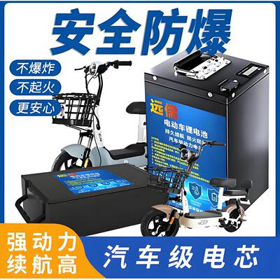 磷酸铁锂电池48v12A-35A二轮国标踏板电动车外卖专用大容量锂电池