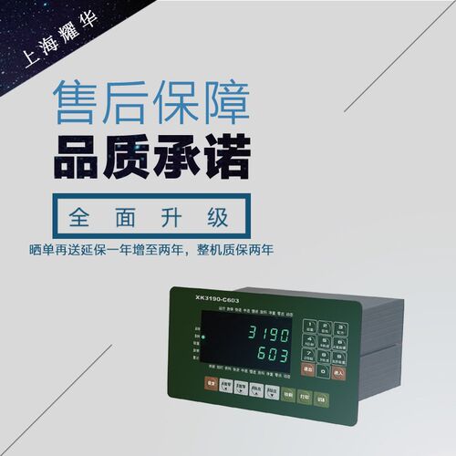上海耀华C603仪表/C603控制仪表/耀华配料控制仪表