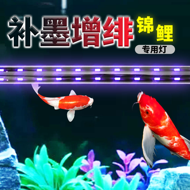 鱼缸灯LED灯水族箱超亮照明灯防水锦鲤专用补墨增绯增艳广角管灯
