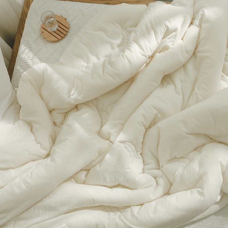 A类大豆纤维被芯春秋四季空调学生酒店单人双人保暖被子加厚棉被