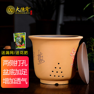 君子兰花盆陶瓷绿萝吊兰创意梅兰竹菊绿植古典中国风宜兴紫砂花盆