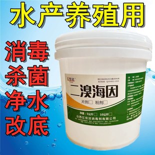 二溴海因颗粒水产养殖鱼药溴氯海因消毒片粉鱼塘虾蟹杀菌改底净水