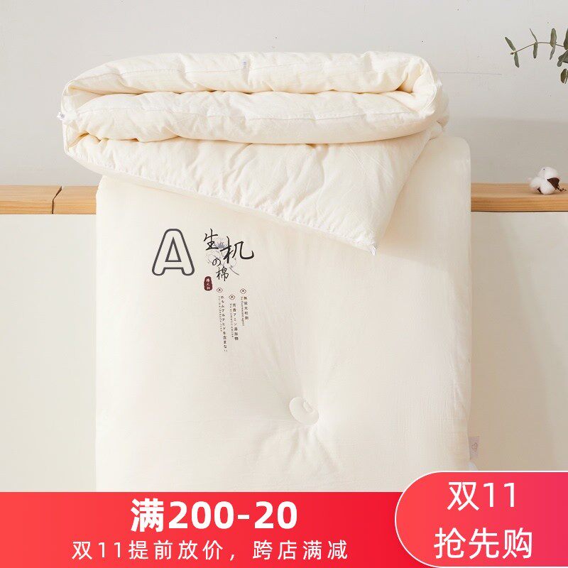 A类原棉大豆纤维冬被加厚单人棉被芯简约夏被保暖被子双人春秋被
