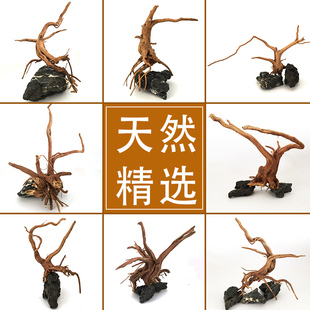 水草 杜鹃根沉木莫斯树 鱼缸草缸造景鱼缸装饰造景沉木 鱼缸造景