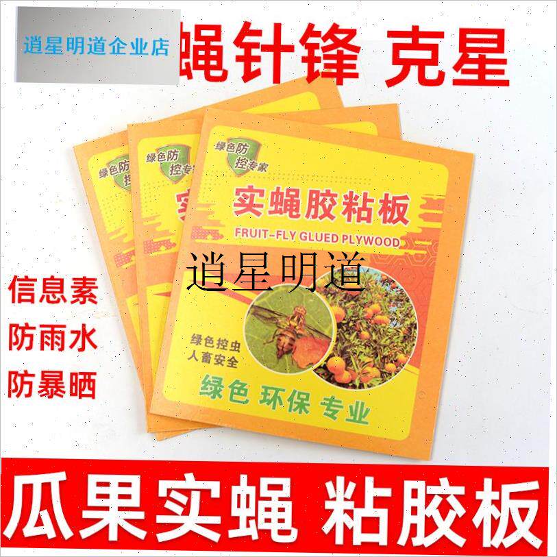 l瓜果实蝇粘虫板针锋黄金t锋纸大棚果园柑橘果树菜园板大果蝇诱捕