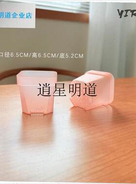 l6.5口粉色半透j明多肉塑料花盆 托架托盘加厚组合育苗叶插麦秆扦