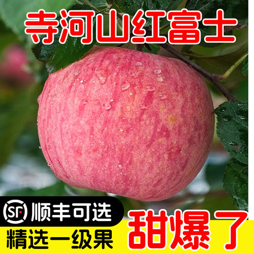 河南灵宝寺河山苹果三门峡正宗红富士一级精品新鲜当季水果冰糖心
