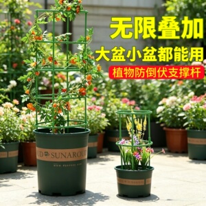 可叠加植物爬藤架架防倒伏支撑杆