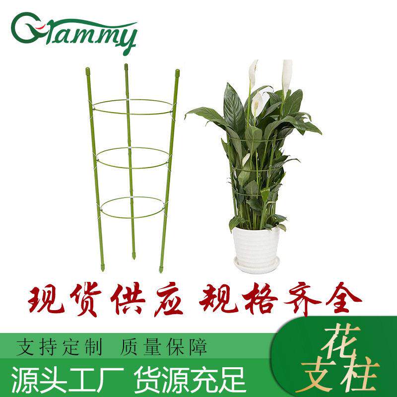 铁环支架爬藤攀援花卉月季铁线莲固定植物支撑架花支柱杆多规格选