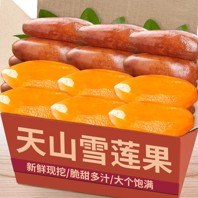 现挖|正宗天山雪莲果|现货秒发