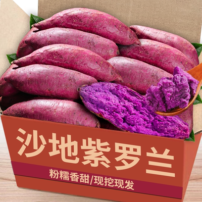 【紫薯】现挖！个大！超多回头客