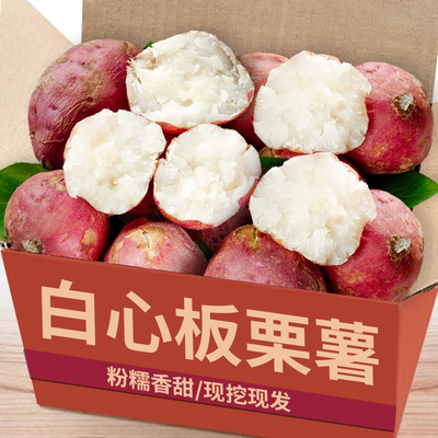 现挖【白心红薯】商超精品！