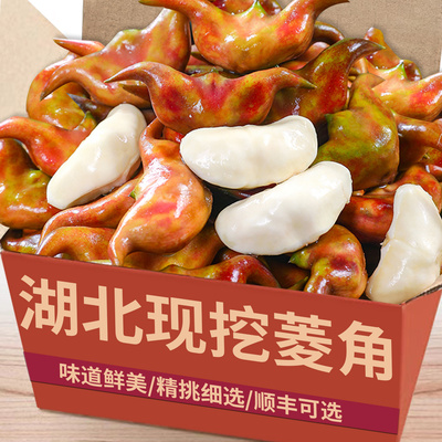 【新鲜菱角】新鲜现挖|超美味！
