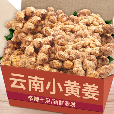正宗【小黄姜】当季现挖产地直发