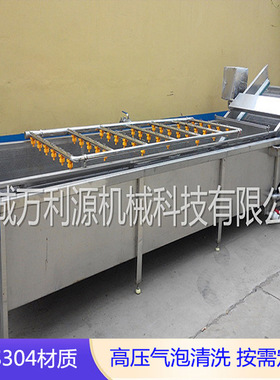 满足不同产量需求的果蔬气泡清洗机 高压水喷淋卷心菜包菜清洗机