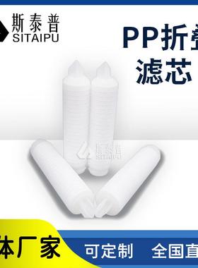 工业微孔折叠滤芯 226翅片型PES大流量精密保安过滤PP折叠水滤芯