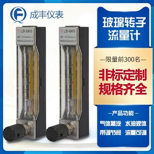 LZB 螺纹接头 6DKFD玻璃管转子流量计带开关通断信号面板式 安装