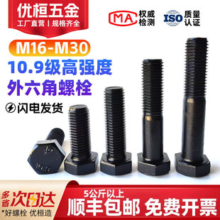 10.9级高强度外六角螺丝加长全牙螺栓螺杆M16M18M20M22M24M27M30
