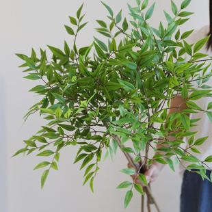 仿真绿植南天竹摆件装饰天葵竹子新中式插花造景仿真花摄影道具