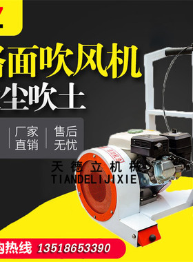 天德立CFJ-160型手推式公路吹尘机 路面树叶灰尘吹扫机公路除尘机