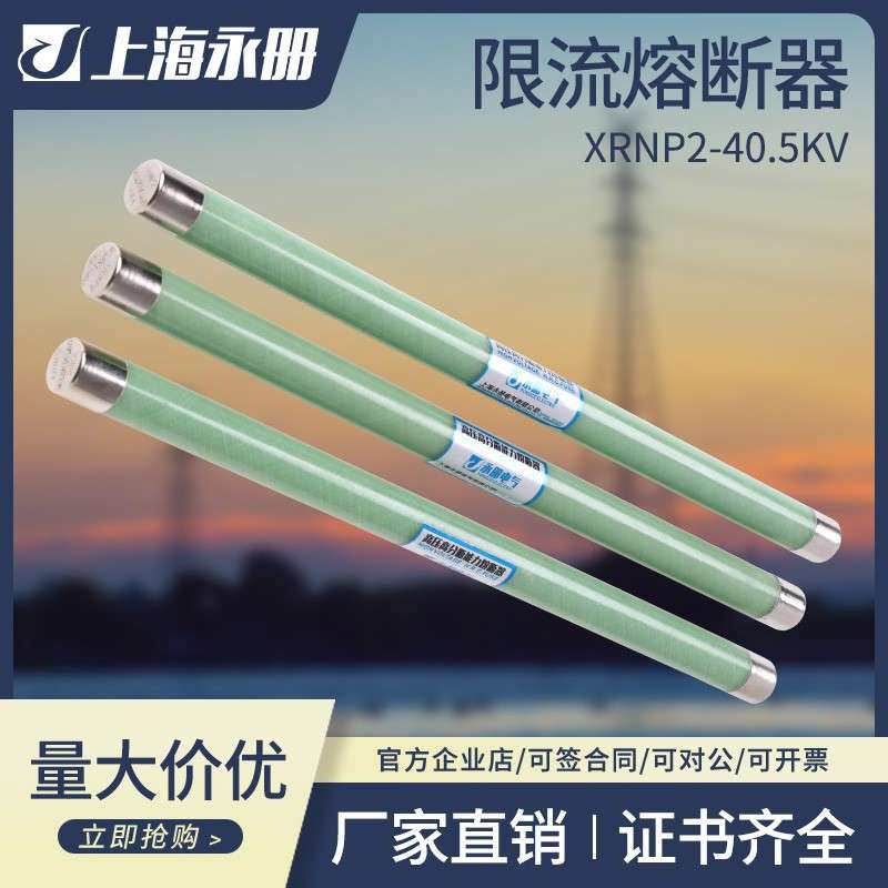 高压限流熔断器XRNP1-35-40.5KV/0.5A-3.15A-50KA高分段能力PT用