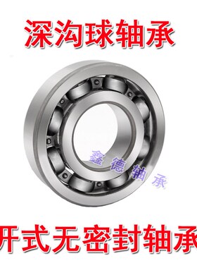 不锈钢深沟球轴承 S 6200 6201 6202 6203 6204 6205ZZ SR10