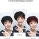 假发真发全真人发短发女全头套中老年女士妈妈款 真发自然假发套