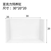 佛鳄龟压克力发色缸虎纹巨头窄桥蛋龟龟苗黑白发色盒家用乌龟鱼缸