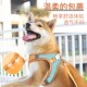 狗狗牵引绳遛狗绳背心式 外出猫咪牵引绳防挣脱泰迪宠物中小型犬专