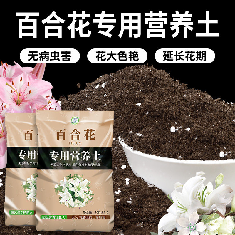 百合花专用营养土养花专用花卉通用种球土泥土种花土壤种植土肥料,鲜花速递/花卉仿真/绿植园艺,介质/营养土,淘宝优惠券,粉丝福利购,淘宝优惠卷