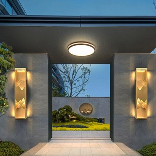 新中式大门口吸顶灯别墅入户灯门厅灯大门顶灯门楼庭院阳台照明灯