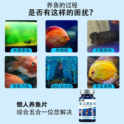 懒人鱼缸养鱼片净水硝化细菌硝化鱼龟用vc维生素c消化益生菌酸奶