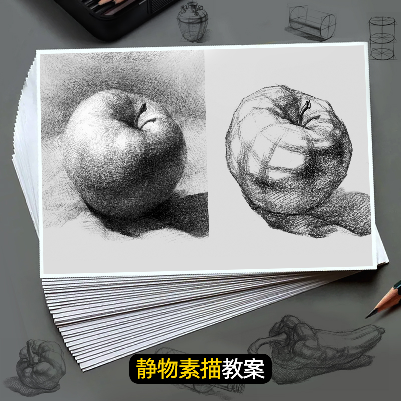 素描静物临摹卡高清结构双面印刷单体组合美术培训教学教材少儿初学者入门基础教程绘画初级入门照片临摹书