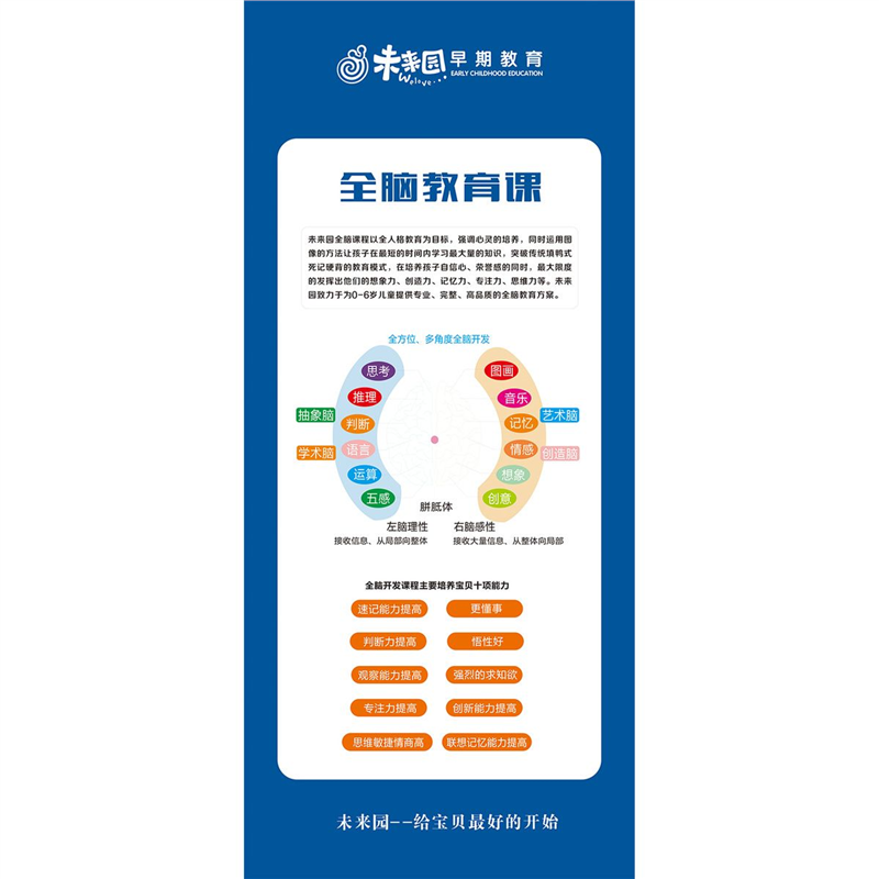 脑部功能图全脑大脑开发心理咨询室墙上装饰贴画海报印制墙贴挂图