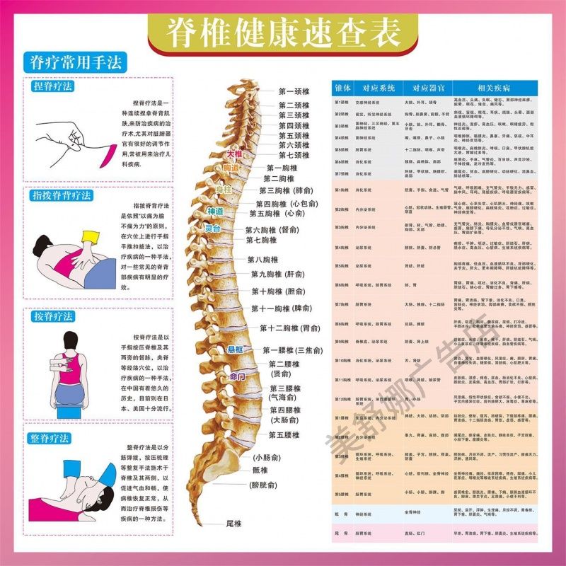 脊椎健康速查表人体脊柱相纸疾病示意图中医养生医学健康挂图海报