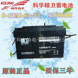YT阀控式 铅酸免维护蓄电池12V65AH直流屏ups电源用 GFM