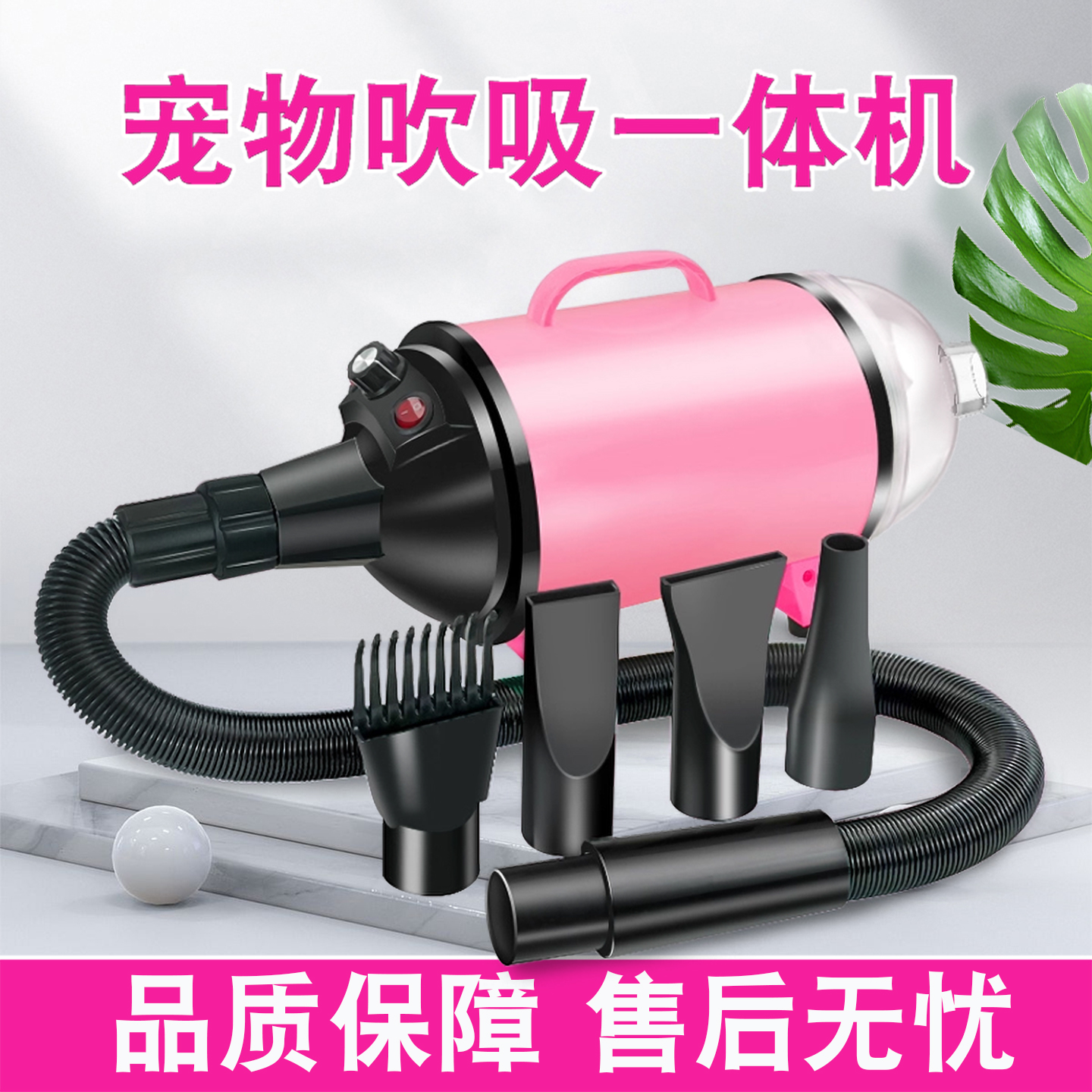 星派宠物狗吹风机大功率吹水机猫咪洗澡烘干一体机大型犬吹毛神器