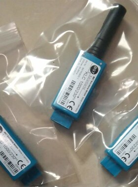 BST火焰探测器KLC1000/230Rs电眼KLC100R1低氮火检KLC100L1