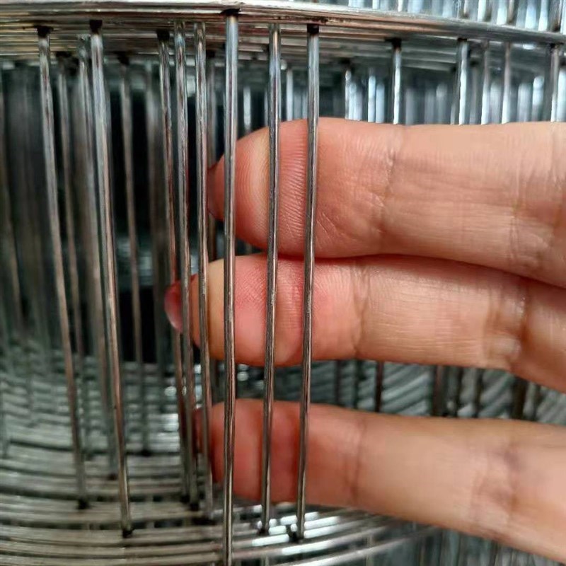 镀锌铁丝网片围栏小孔加粗养殖网狗笼养殖建筑钢筋长孔网格网钢丝