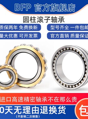 进口BFaP圆柱滚子轴承NUP2217 2218 2219 2220 2222 2224EM C3