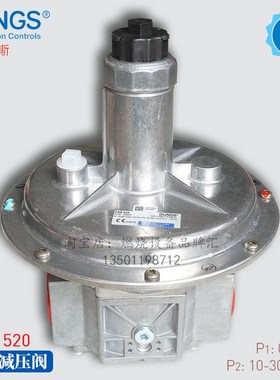 DUNGS燃气减压阀FRS505 510 520 503 507 515 X冬斯调压稳压阀