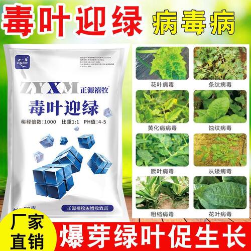 毒叶迎绿病毒病专用辣椒黄瓜西红柿番茄蔬菜花小叶卷卷叶黄叶强效