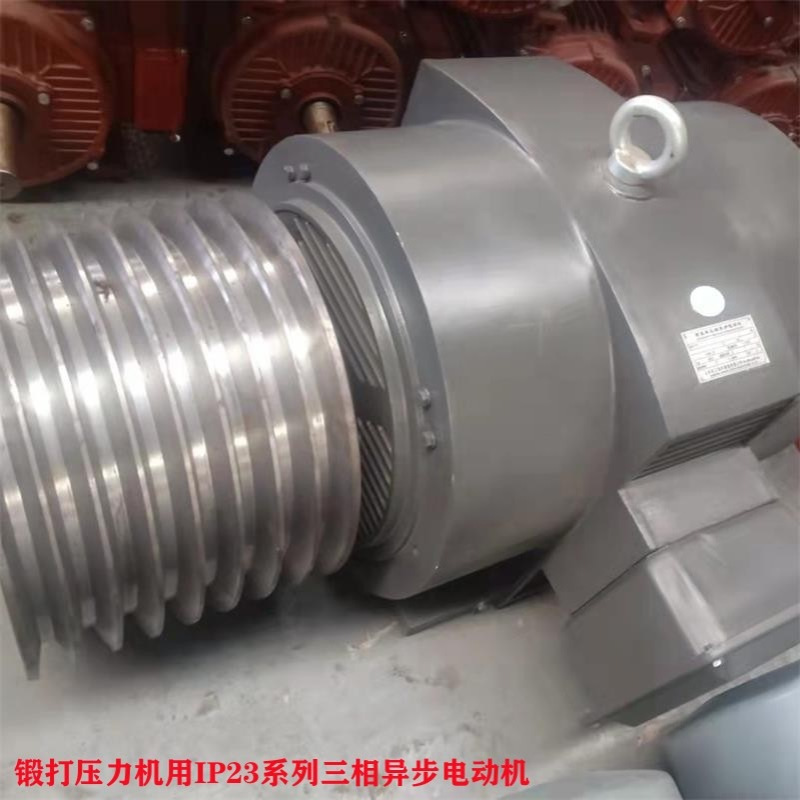 山东淄博厂家直供 Y315M2-8/132KW-IP23 锻打压力机专用电机 质保