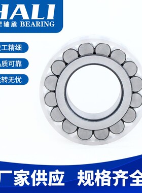 挖掘机齿轮轴承RSL182316A无外圈满装圆柱滚子轴承